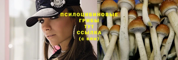 PSILOCYBIN Абаза