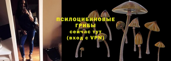 PSILOCYBIN Абаза
