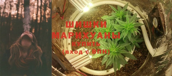 PSILOCYBIN Абаза