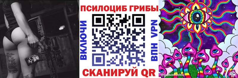 Псилоцибиновые грибы Psilocybe omg ссылки Ивангород продажа наркотиков